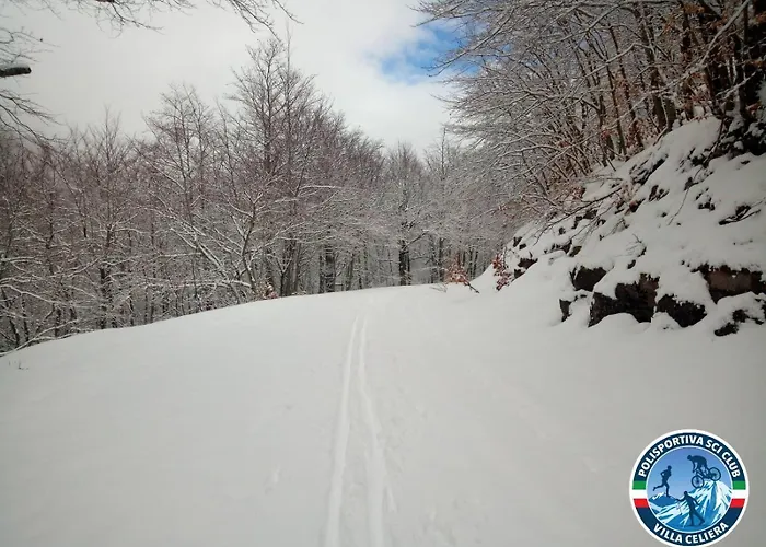 Amici Del Sorriso * Villa Celiera