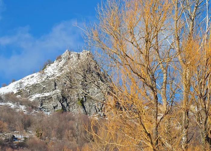 Amici Del Sorriso * Villa Celiera
