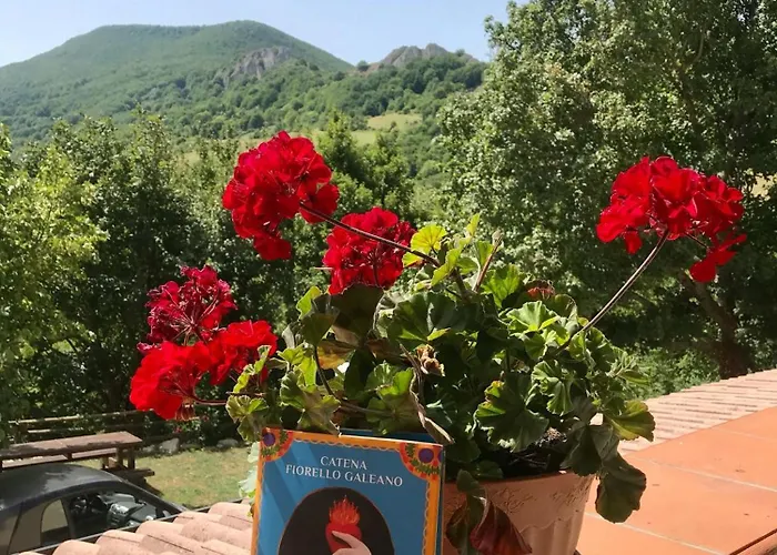 Apart-hotel Amici Del Sorriso *